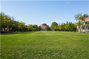 世界史在職研究生就業有哪些選擇呢就業是根據專業方向選擇嗎