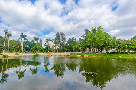 ̴W(xu)оW(xu)M(fi)ʲôM(fi)(chng)(yu)(sh)Щ