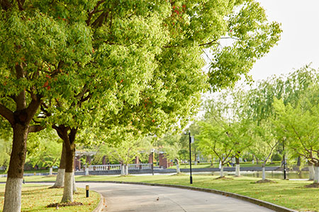 Ϻؔ(jng)W(xu)ϺࣩоI(y)㑪(yng)ᣬ󿼗lʲô