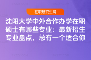 沈陽大學中外合作辦學在職碩士有哪些專業：最新招生專業盤點，總有一個適合你